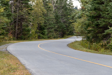 road in the forest