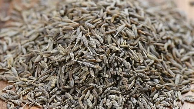 Tiny seed of caraway panning
