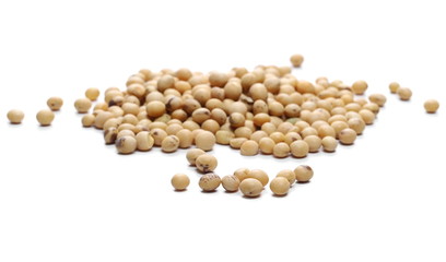 Organic raw soy, soybeans isolated on white background