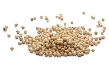 Organic raw soy, soybeans isolated on white background