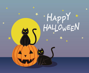 Halloween Pumpkin with black cat cartoon character design for card banner background.