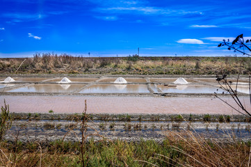Ile de Ré - Marais Salants