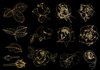 gold roses on black background, set