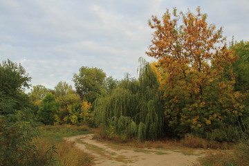 Осень на Зелёном острове.