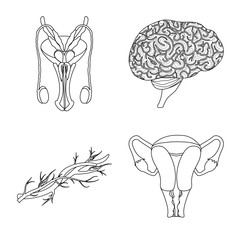 Vector illustration of body and human symbol. Set of body and medical stock symbol for web.