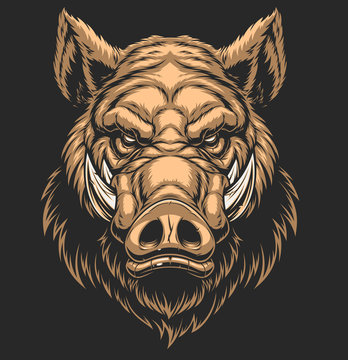 Head ferocious boar