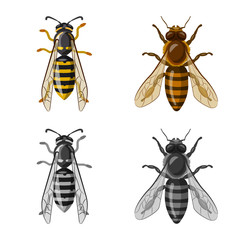 Vector illustration of insect and fly icon. Collection of insect and element stock vector illustration.