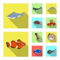 Naklejka premium Isolated object of sea and animal logo. Collection of sea and marine stock symbol for web.