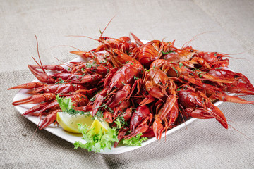 Beer snack - boiled crayfish with dill and lemon on a plate