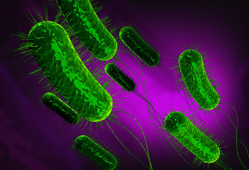 cells or bacteria purple background - 225667407