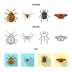Isolated object of insect and fly icon. Set of insect and element vector icon for stock.