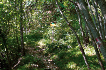 Segnaletica lungo il sentiero 6