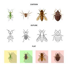 Isolated object of insect and fly symbol. Set of insect and element vector icon for stock.