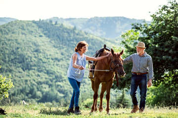 A senior couple holding a horse by his lead on a pasture.