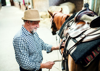 A senior man putting a saddle on a horse in a stable.