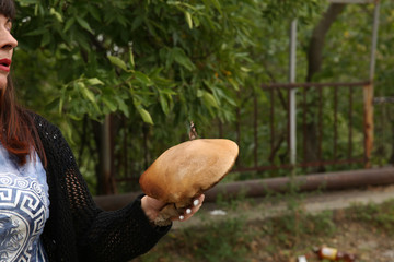 white mushroom in hand with a butterfly on it