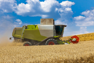 modern harvester during harvest of wheat on sunny day