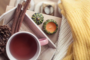 Knitted, warm sweaters, a cup of hot tea, autumn decor, a book, a pumpkin on a wooden chair. Cozy, autumn decor. Autumn interior, sofa. Autumn. Winter.