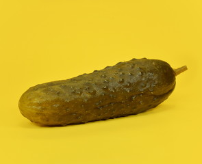Pickled cucumber closeup isolated on yellow background