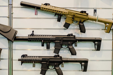 Gun wall rack with rifles