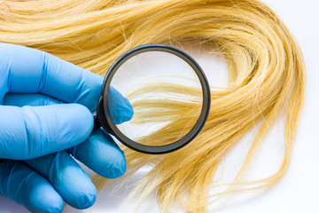 Doctor dermatologist or trichologist diagnoses health patient hair with magnifying glass on white...