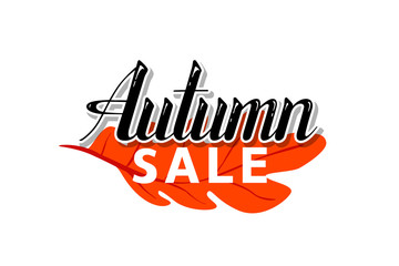Autumn SALE. Vector illustration, lettering, with leaf for banners, flyers and other promotion materials.