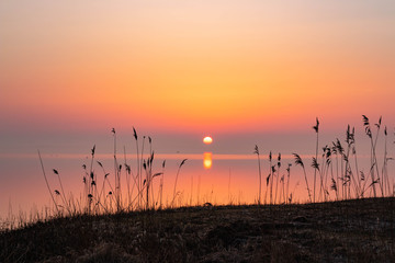 Fototapeta na wymiar sunset in the field over the sea view