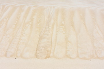 Close up on pattern of waves and ripples in a sand dune 