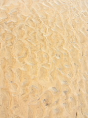 Ripple pattern in the sand in a desert