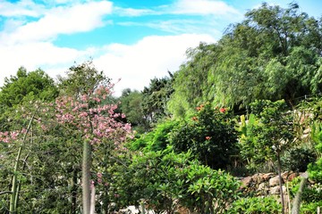 Beautiful garden under the sun in Nijar