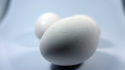 white egg isolated