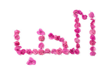 Bougainvillea Mosaic art fonts - Arabic love words 