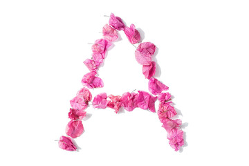 Dry triangle plum blossom into letters A