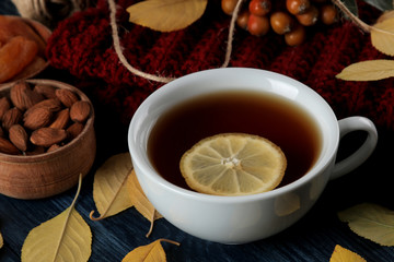 Autumn composition with hot tea nuts berries and autumn yellow leaves on a dark blue wooden table