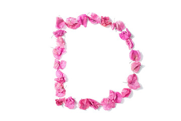 Fototapeta premium Dry triangle plum blossom into letters D