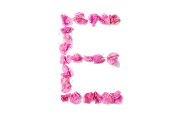 Dry triangle plum blossom into letters E