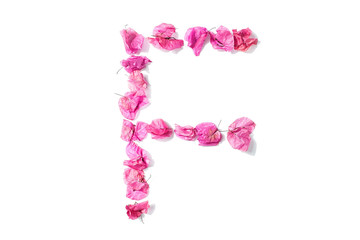 Dry triangle plum blossom into letters F