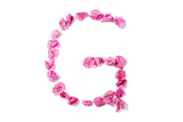 Dry triangle plum blossom into letters G