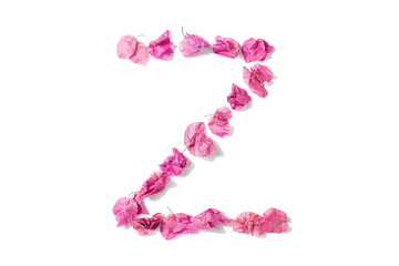 Dry triangle plum blossom into letters Z