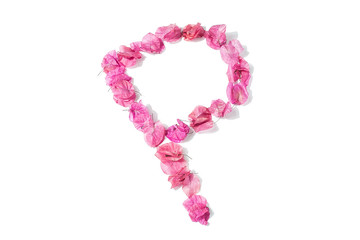 Dry triangle plum blossom into letters P