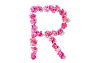 Dry triangle plum blossom into letters R