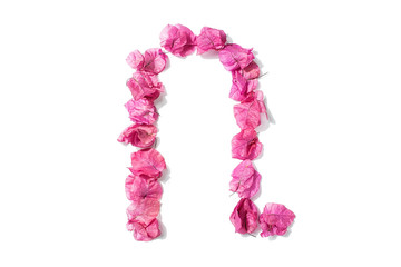 Dry triangle plum blossom into letters N