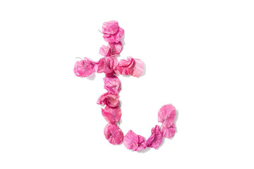 Dry triangle plum blossom into letters T