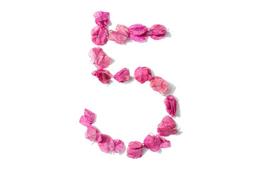 Dry triangle plum blossom into digital 5