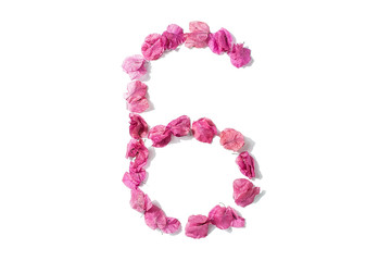 Dry triangle plum blossom into digital 6