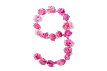 Dry triangle plum blossom into digital 9