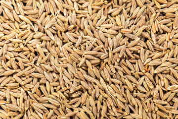 texture of dry spices cumin