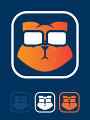 Orange cat wearing glasses icon