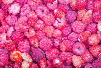 strawberries and raspberries pink background