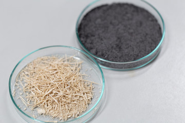 Experiment of waste fermentation in laboratories.